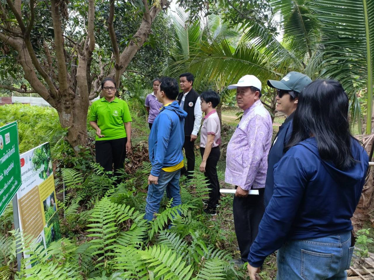 ภาพประกอบที่ 6