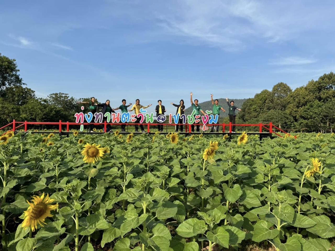 ภาพประกอบที่ 7