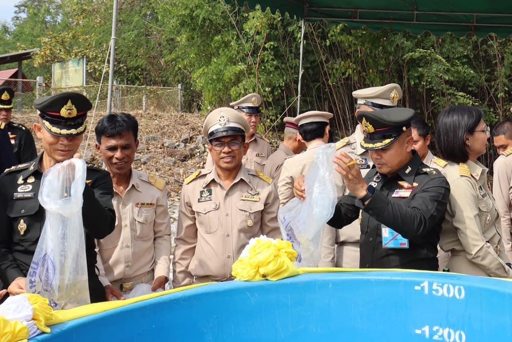 ภาพประกอบที่ 19