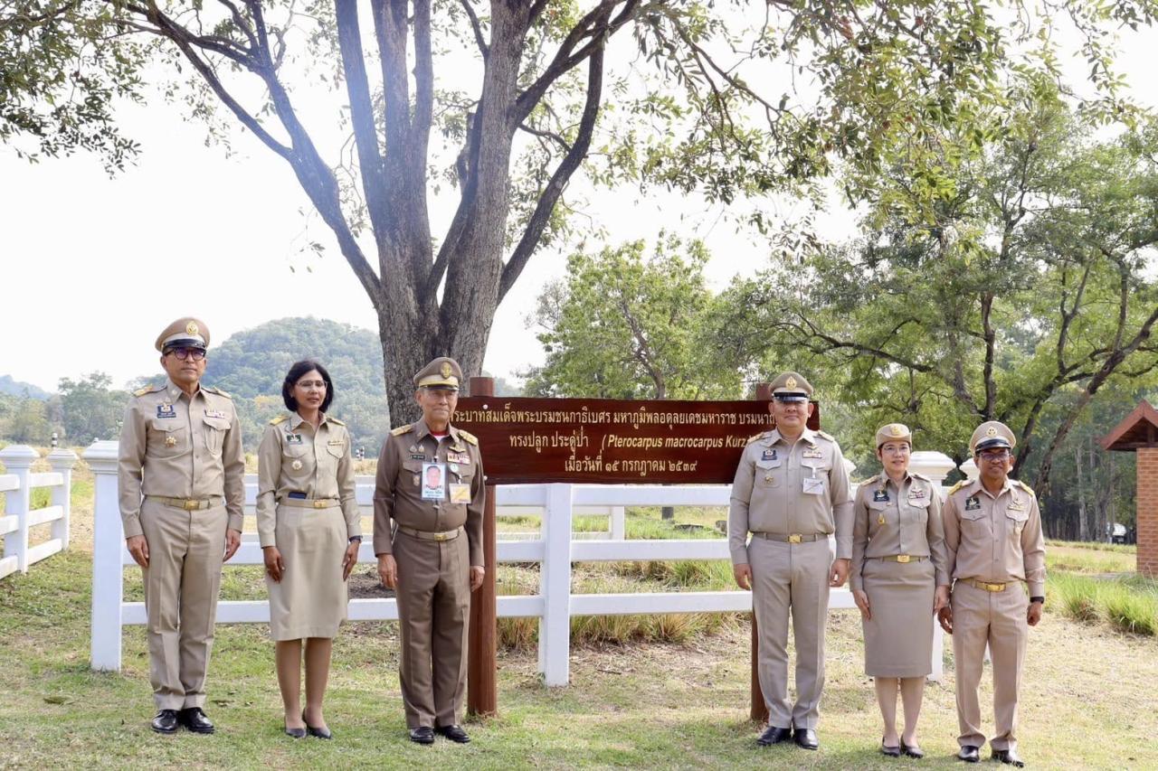 ภาพประกอบที่ 20