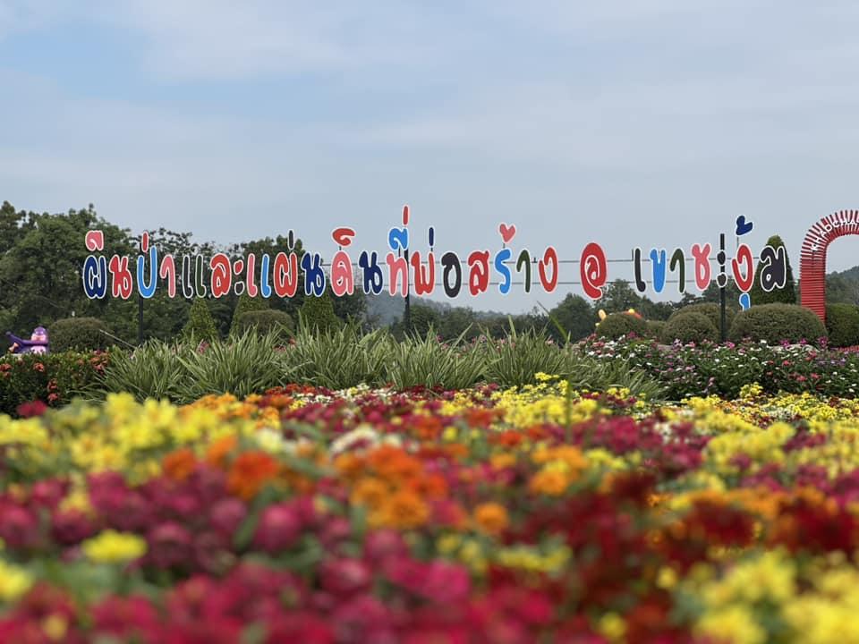 ภาพประกอบที่ 24