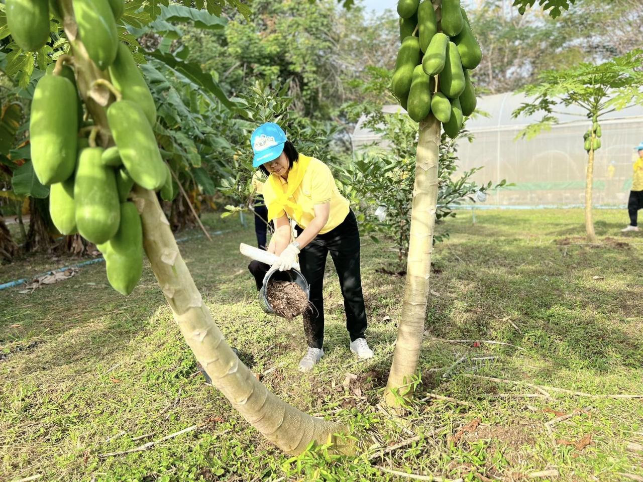 ภาพประกอบที่ 2
