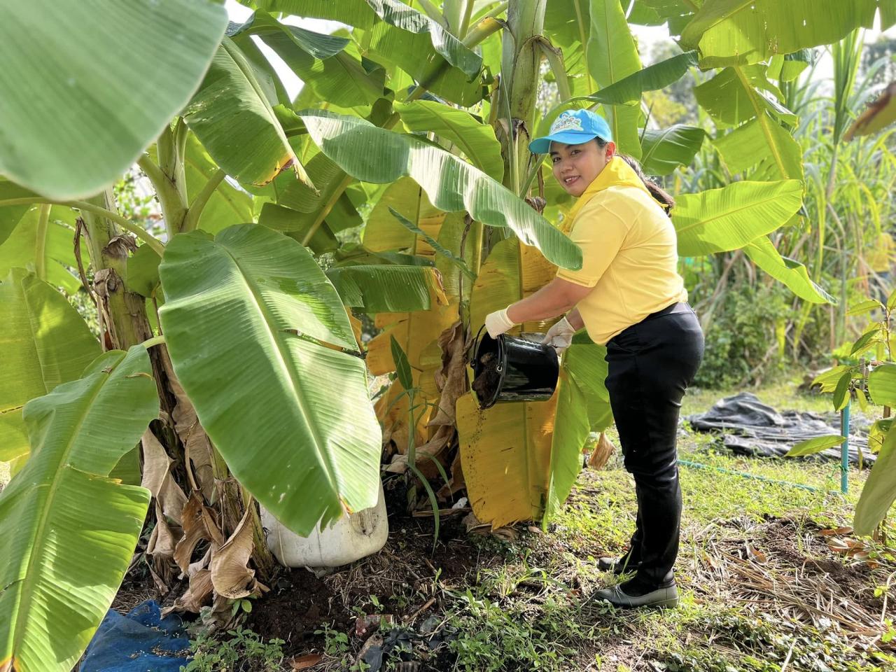 ภาพประกอบที่ 3