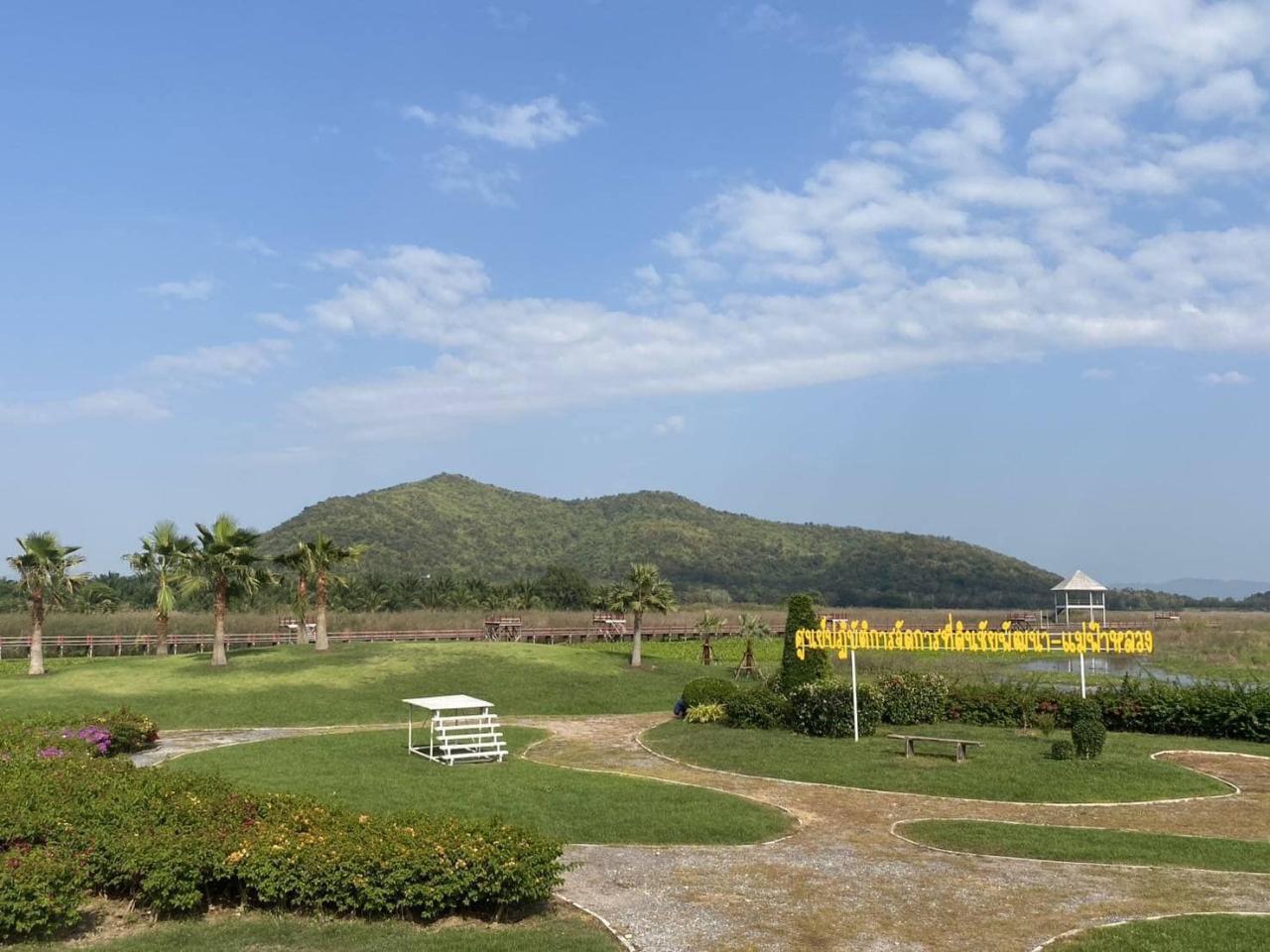 ภาพประกอบที่ 1