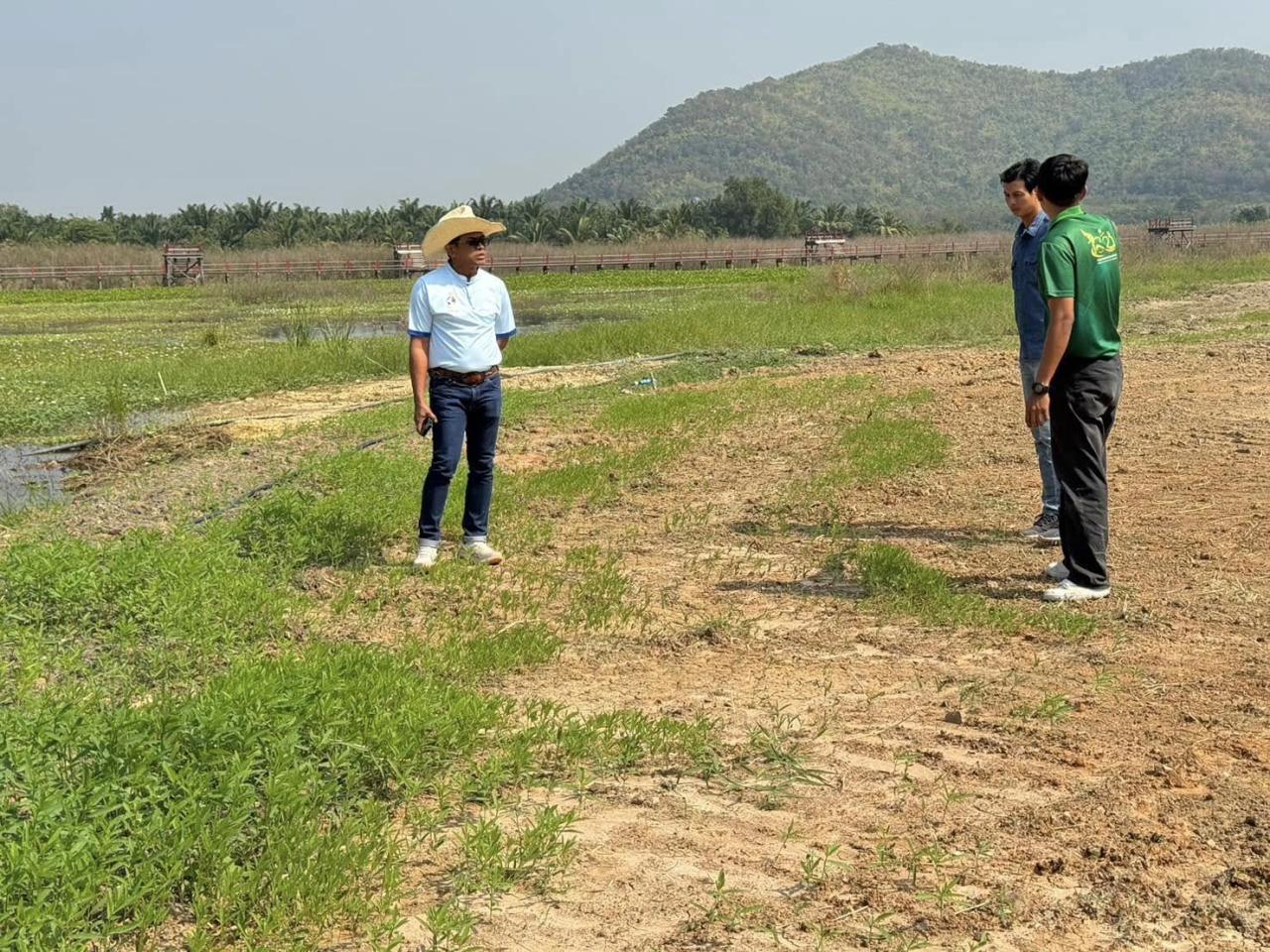 ภาพประกอบที่ 3