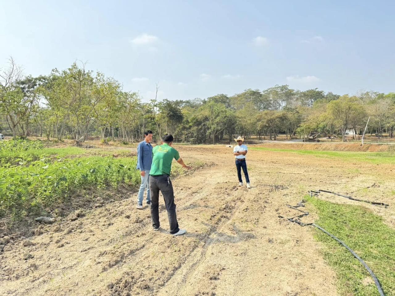ภาพประกอบที่ 4
