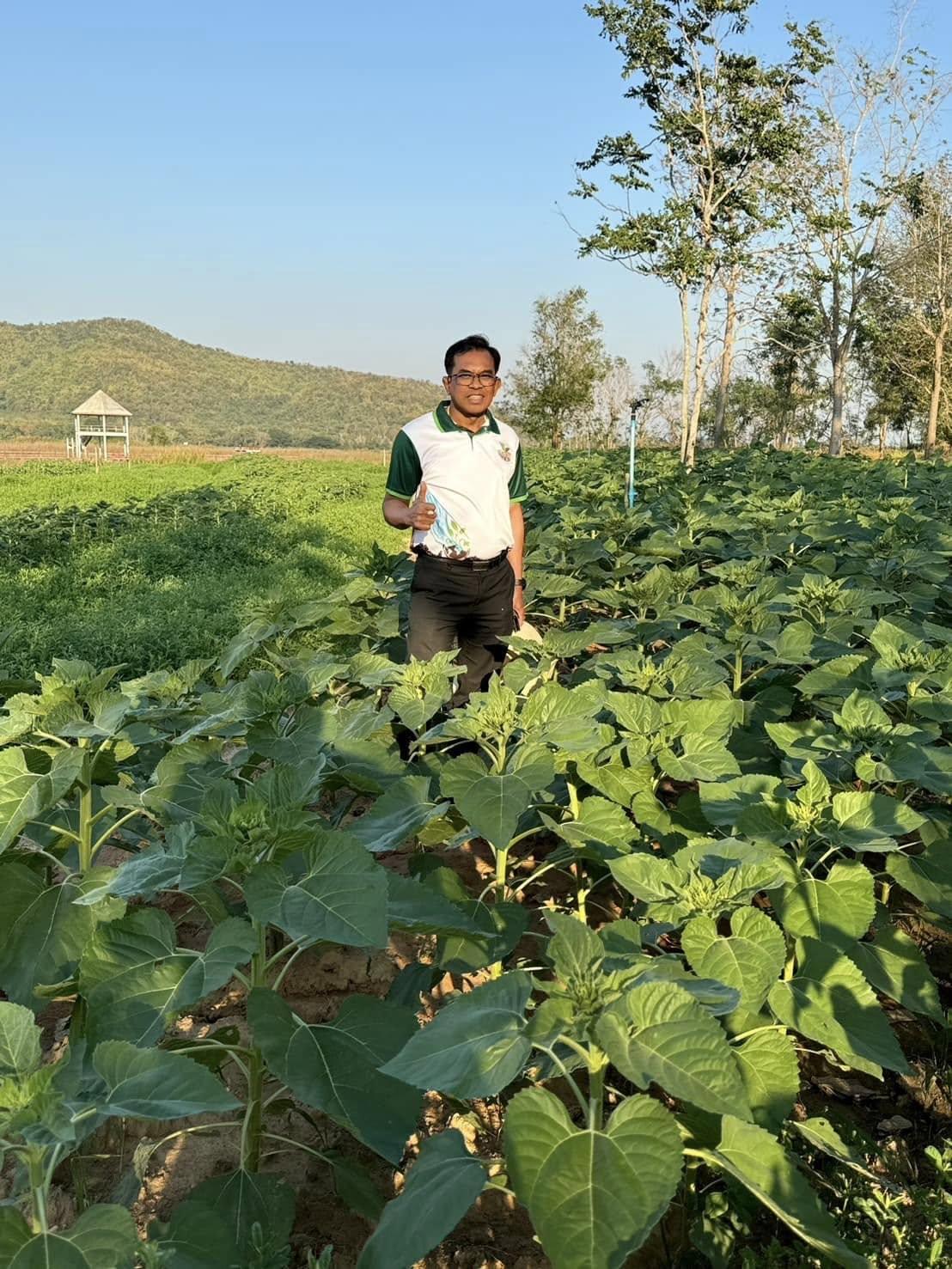 ภาพประกอบที่ 5