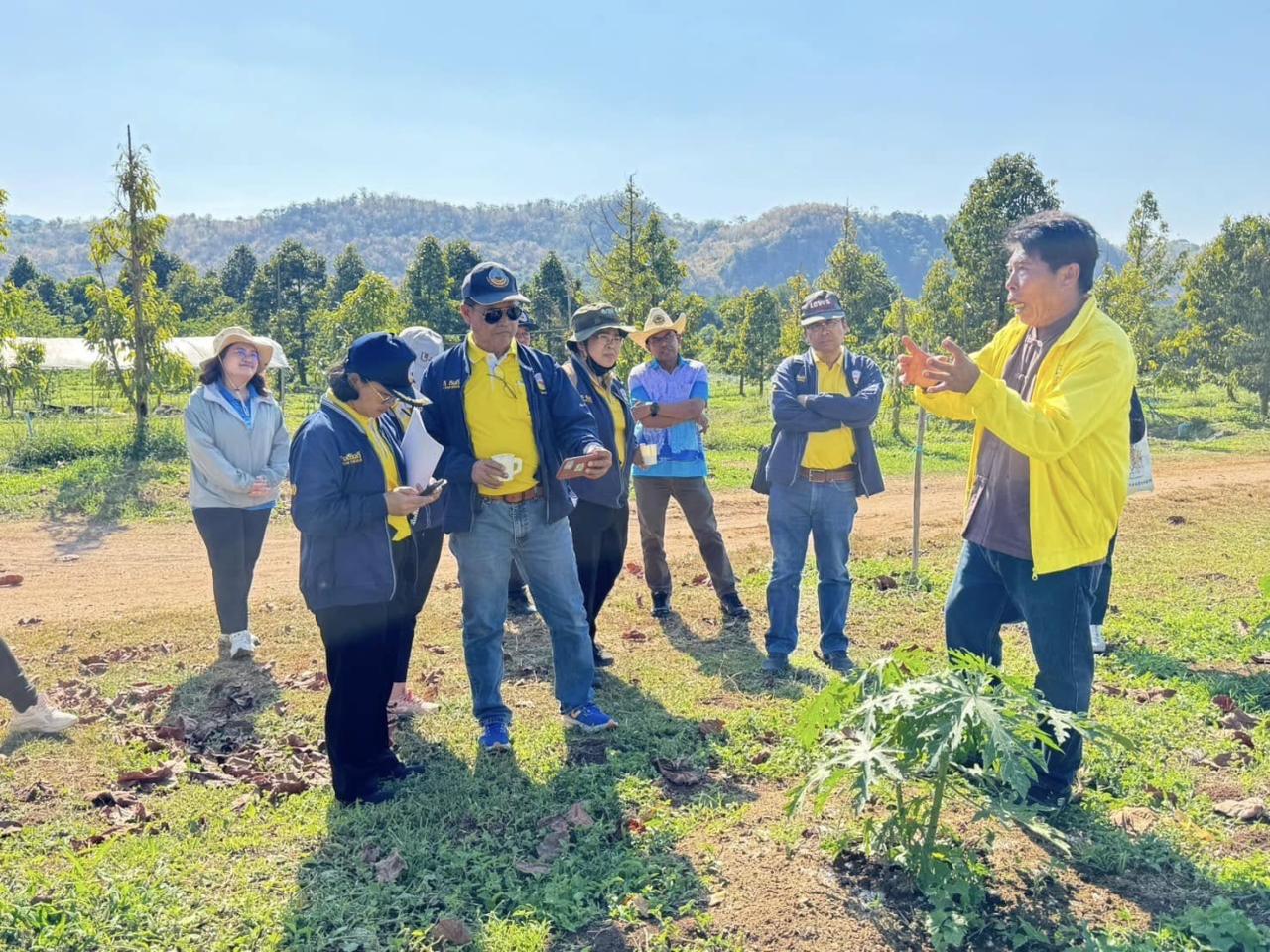 ภาพประกอบที่ 1