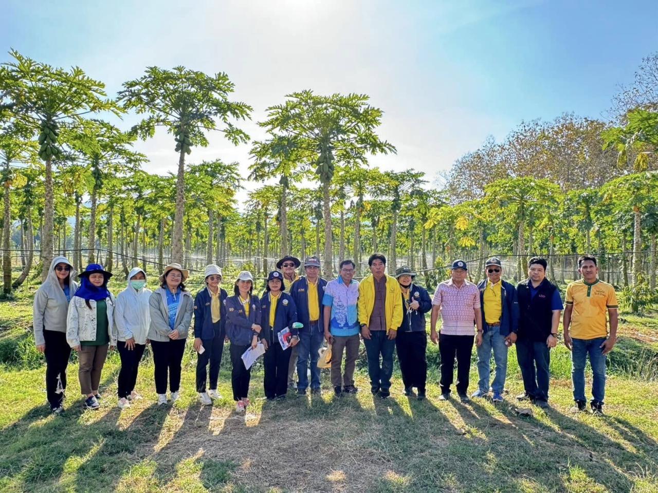 ภาพประกอบที่ 8