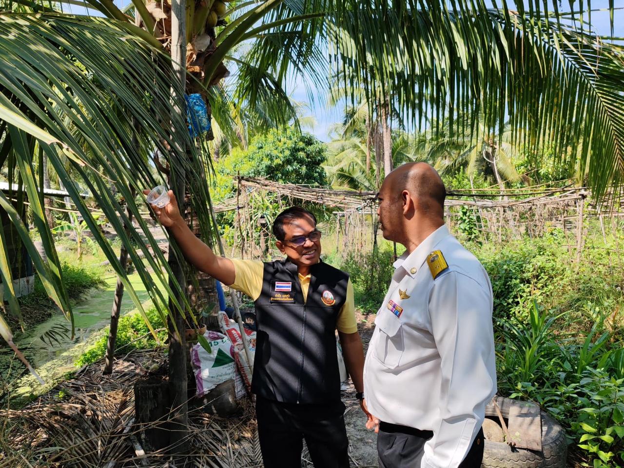 ภาพประกอบที่ 4