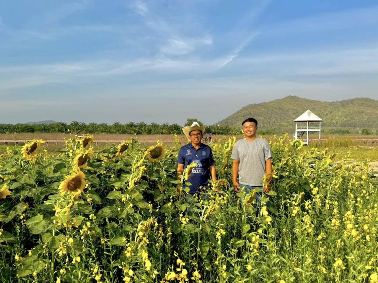 ภาพประกอบที่ 0