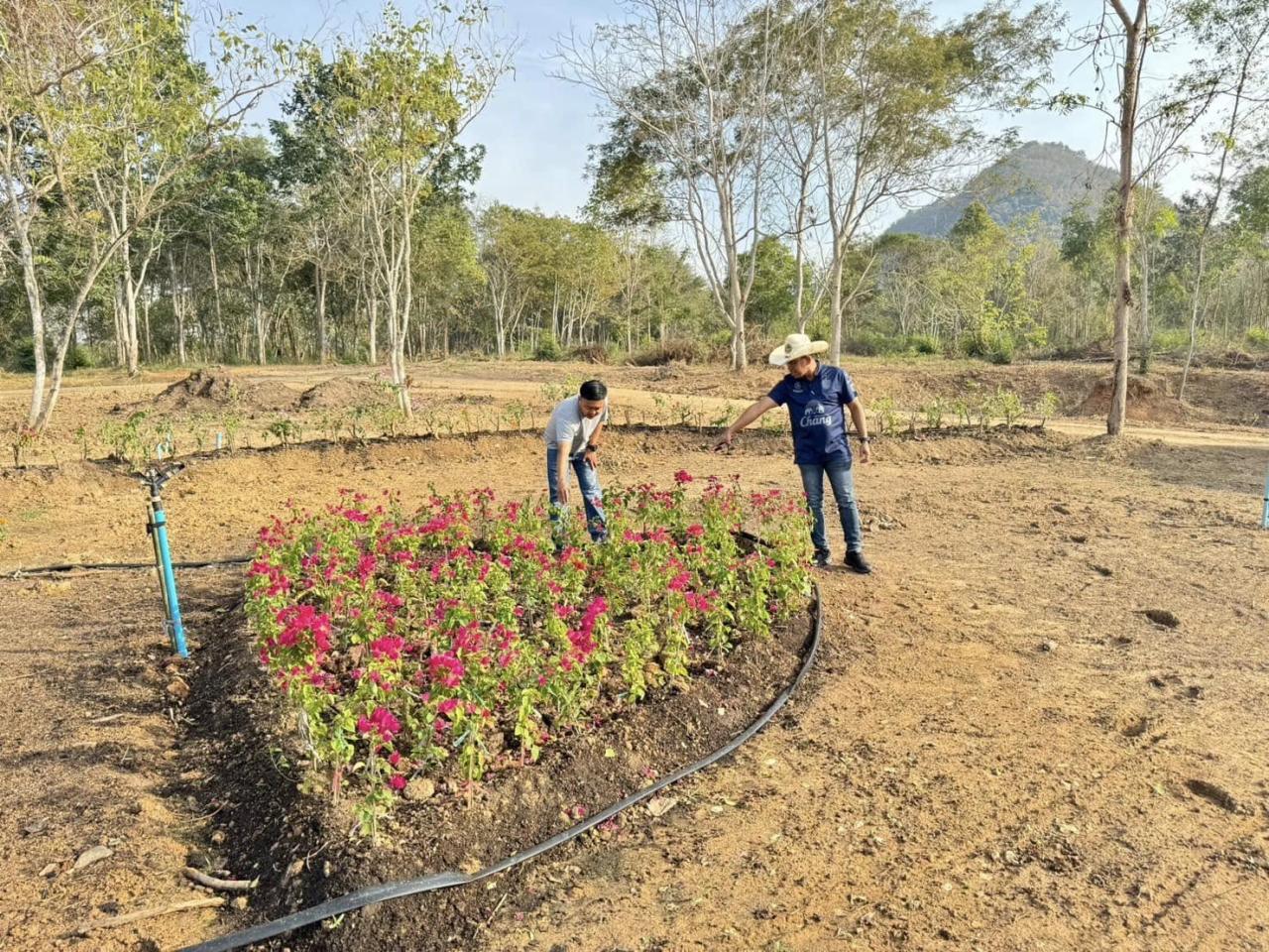 ภาพประกอบที่ 1