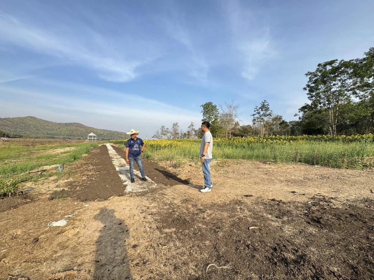 ภาพประกอบที่ 2