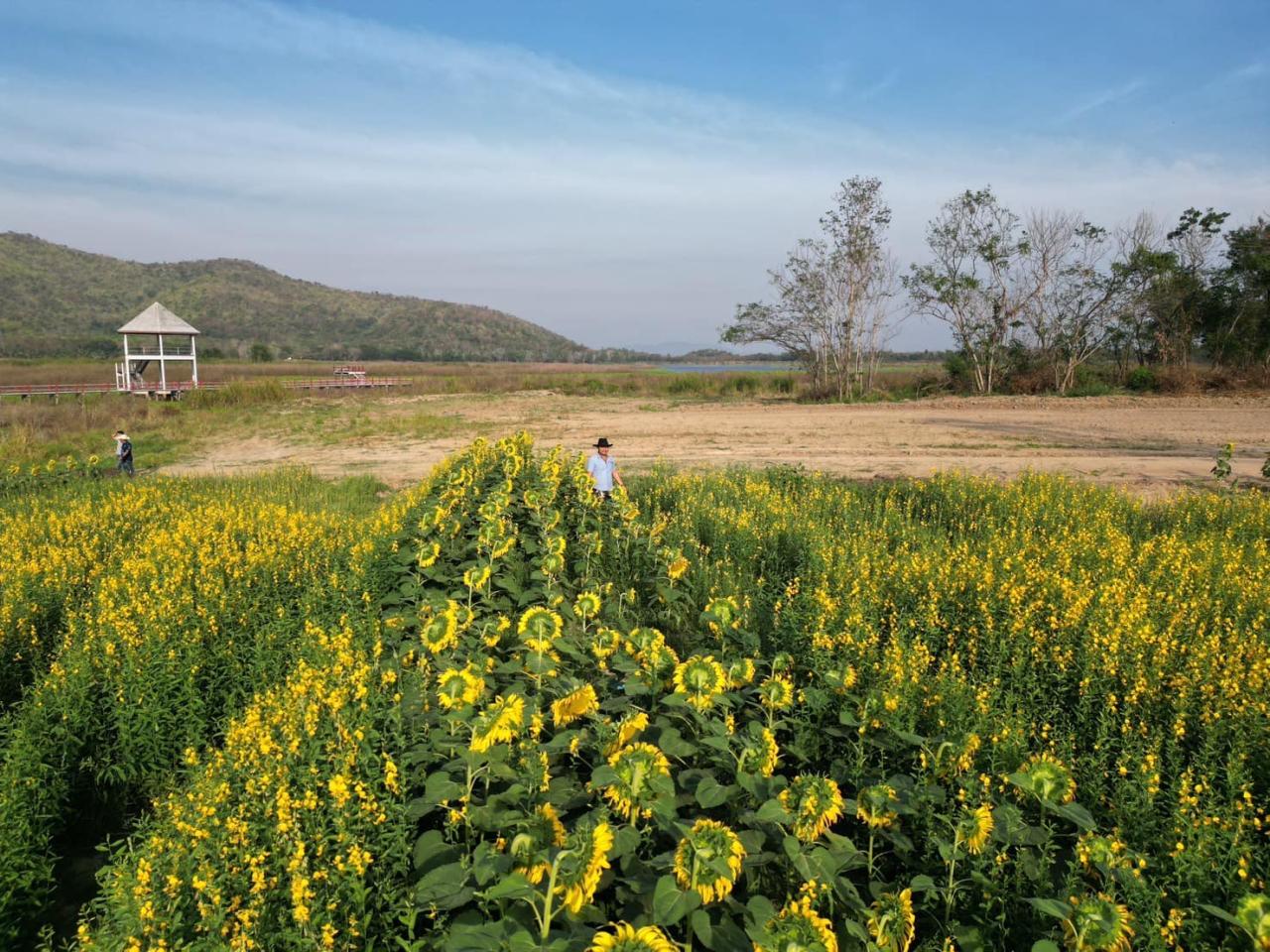 ภาพประกอบที่ 5