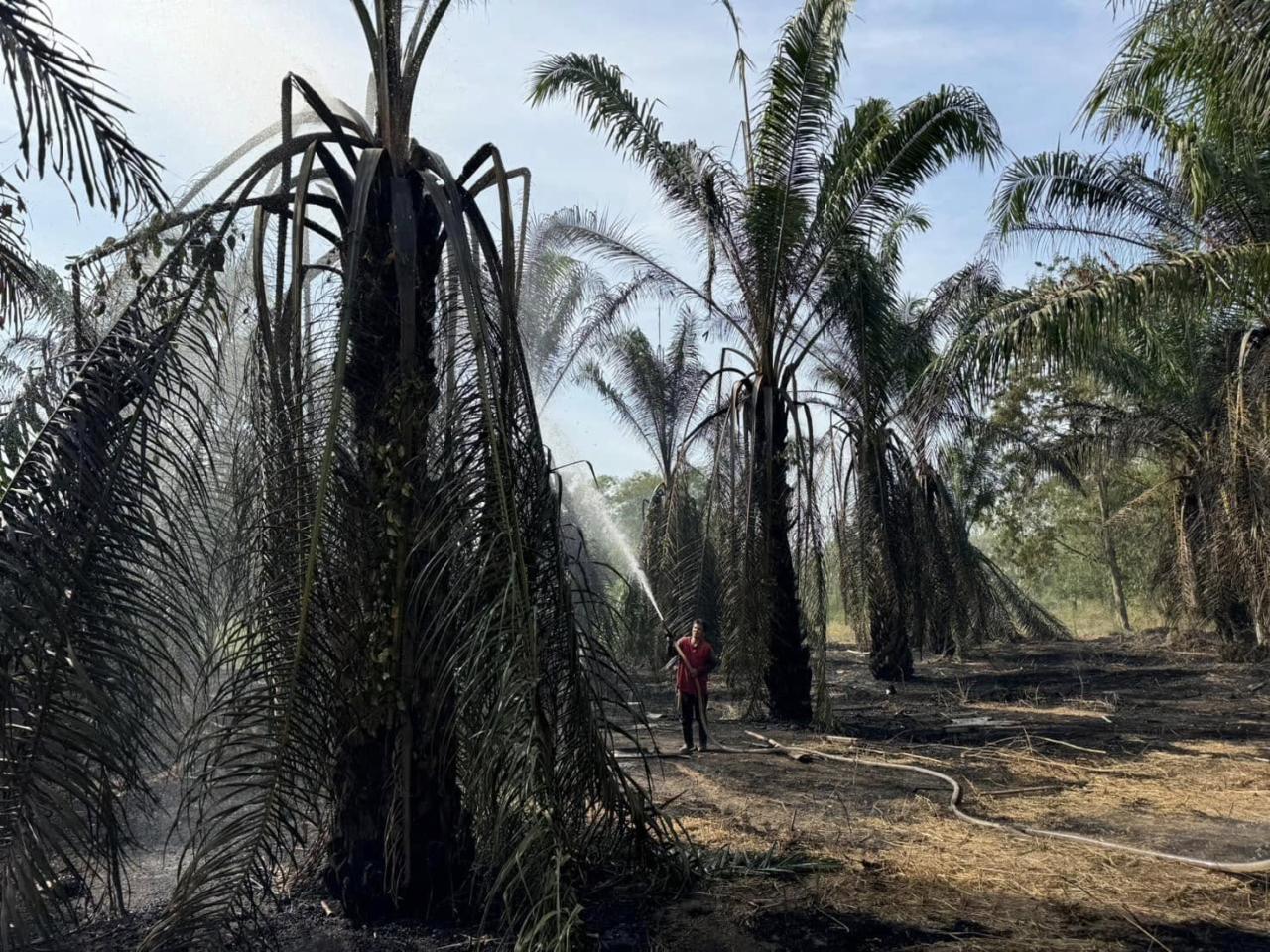 ภาพประกอบที่ 10