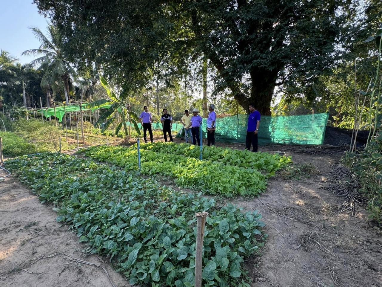 ภาพประกอบที่ 1