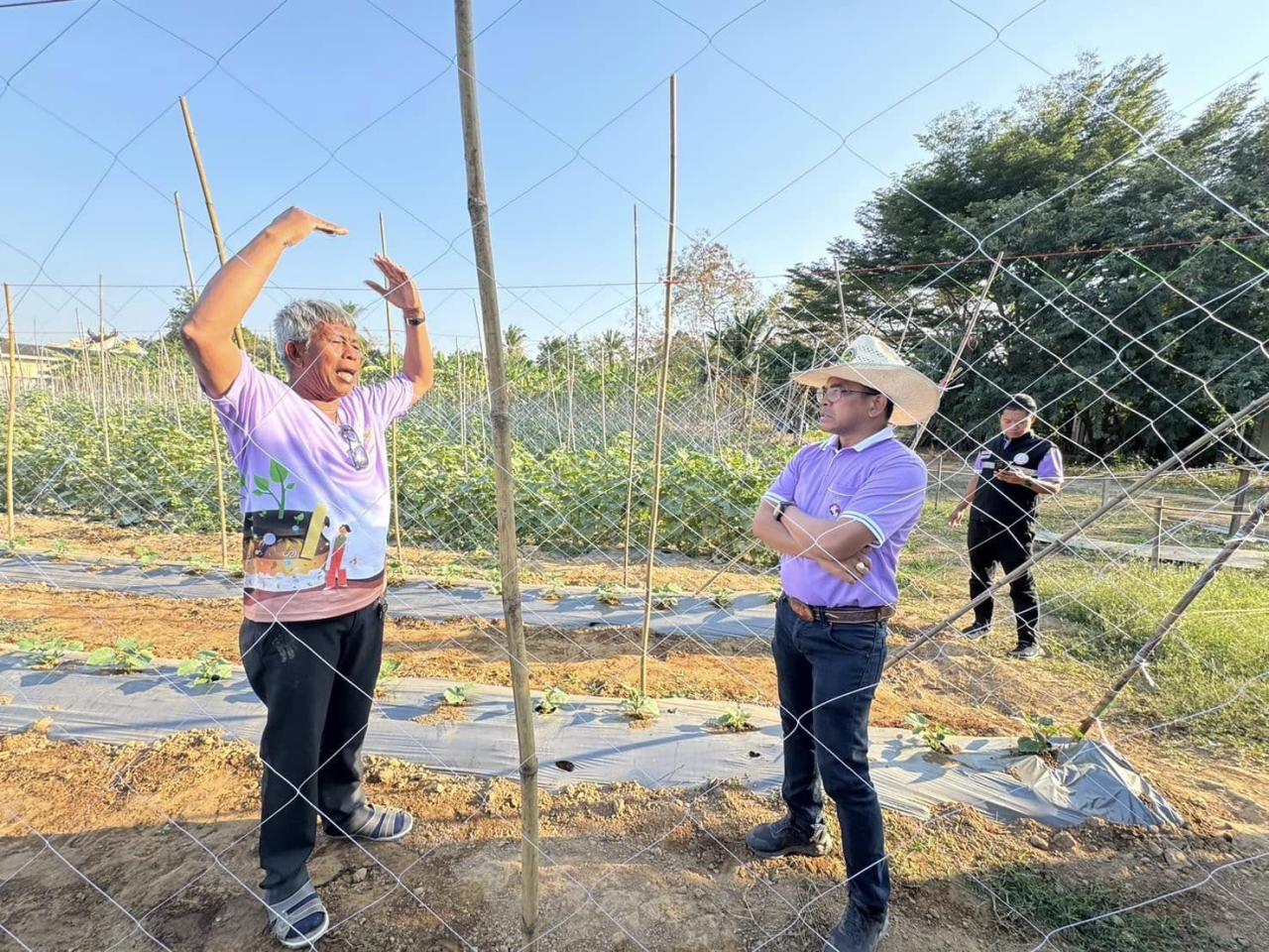 ภาพประกอบที่ 3