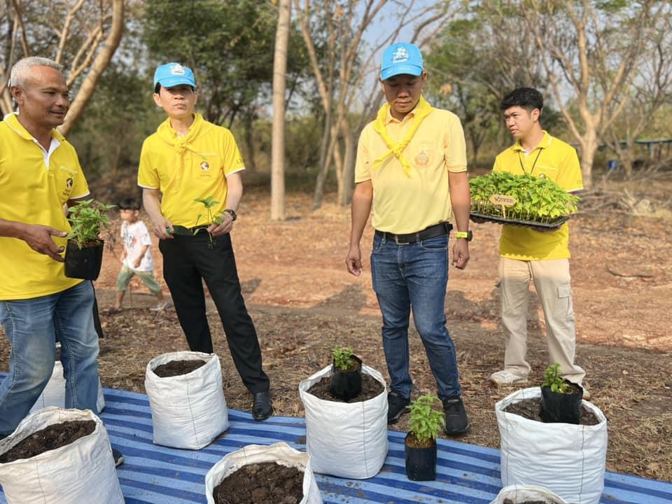 ภาพประกอบที่ 0