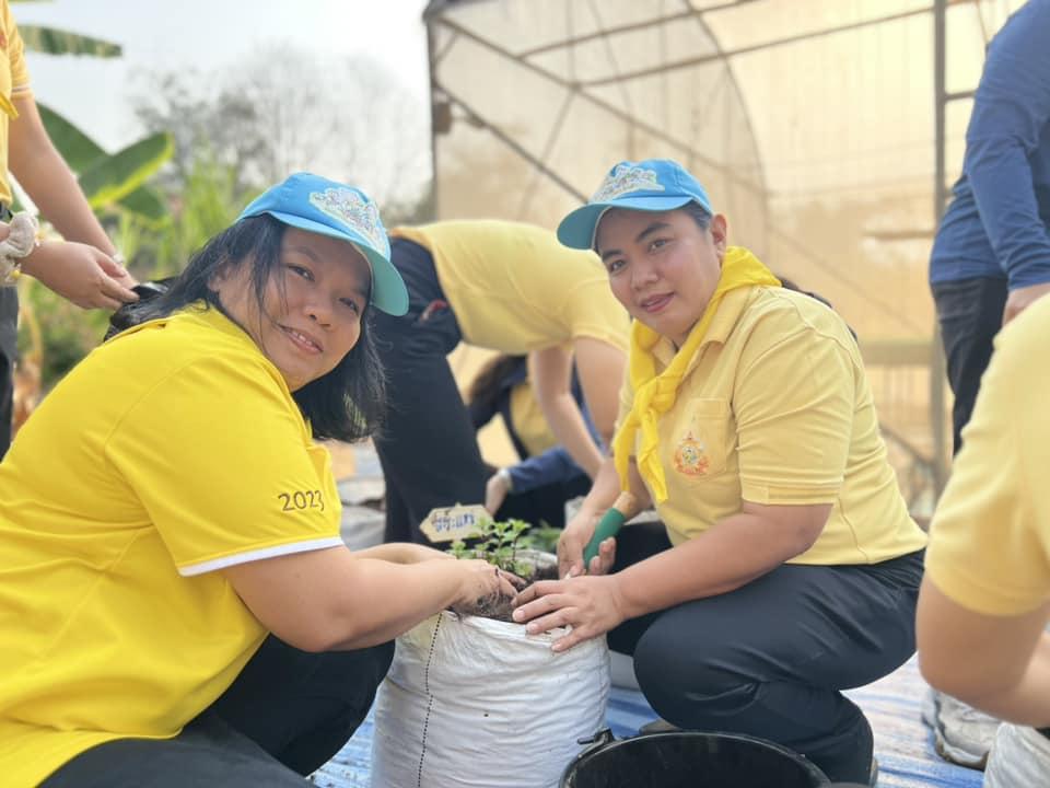 ภาพประกอบที่ 2