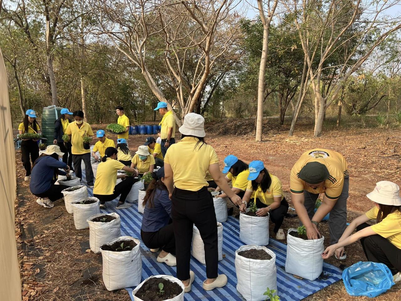 ภาพประกอบที่ 3