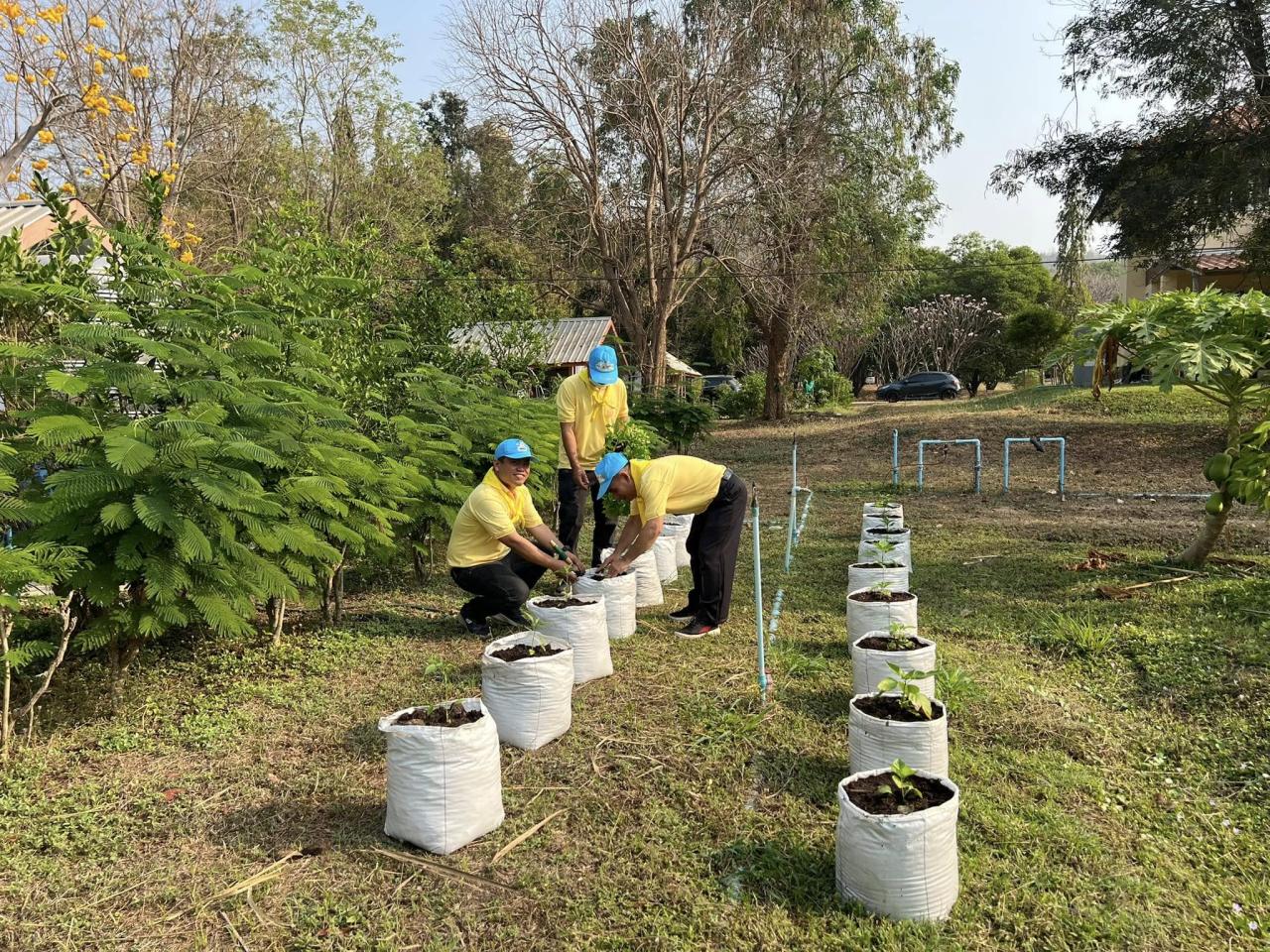 ภาพประกอบที่ 4
