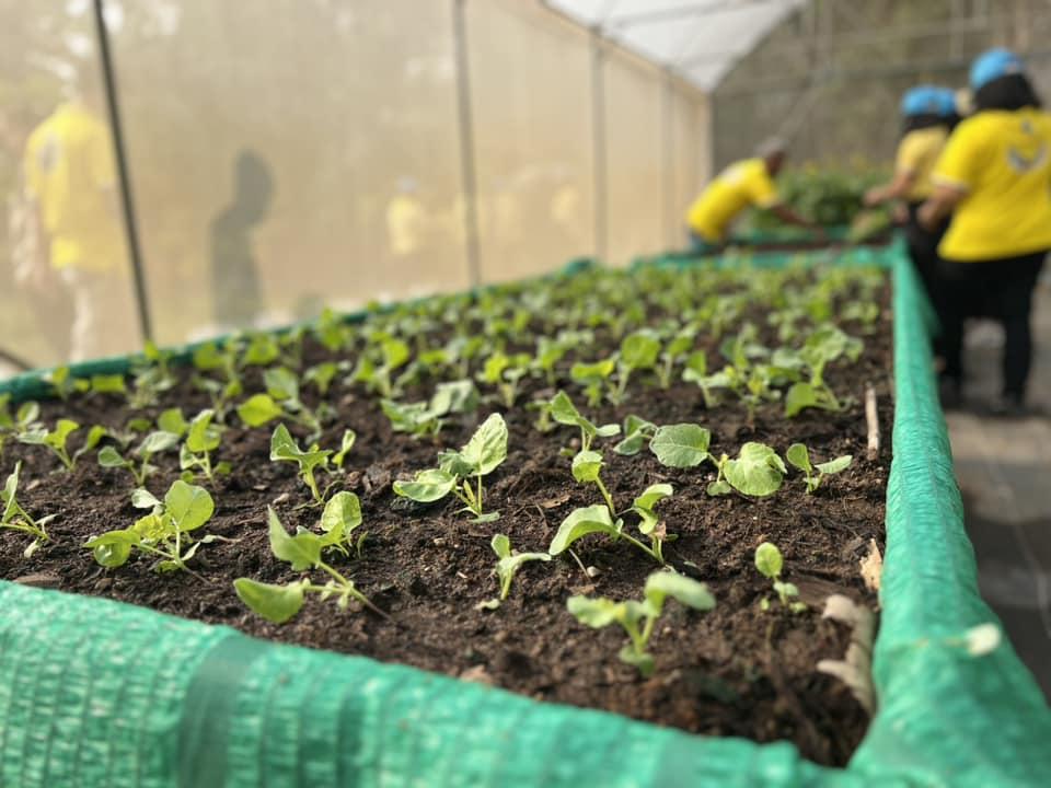 ภาพประกอบที่ 5