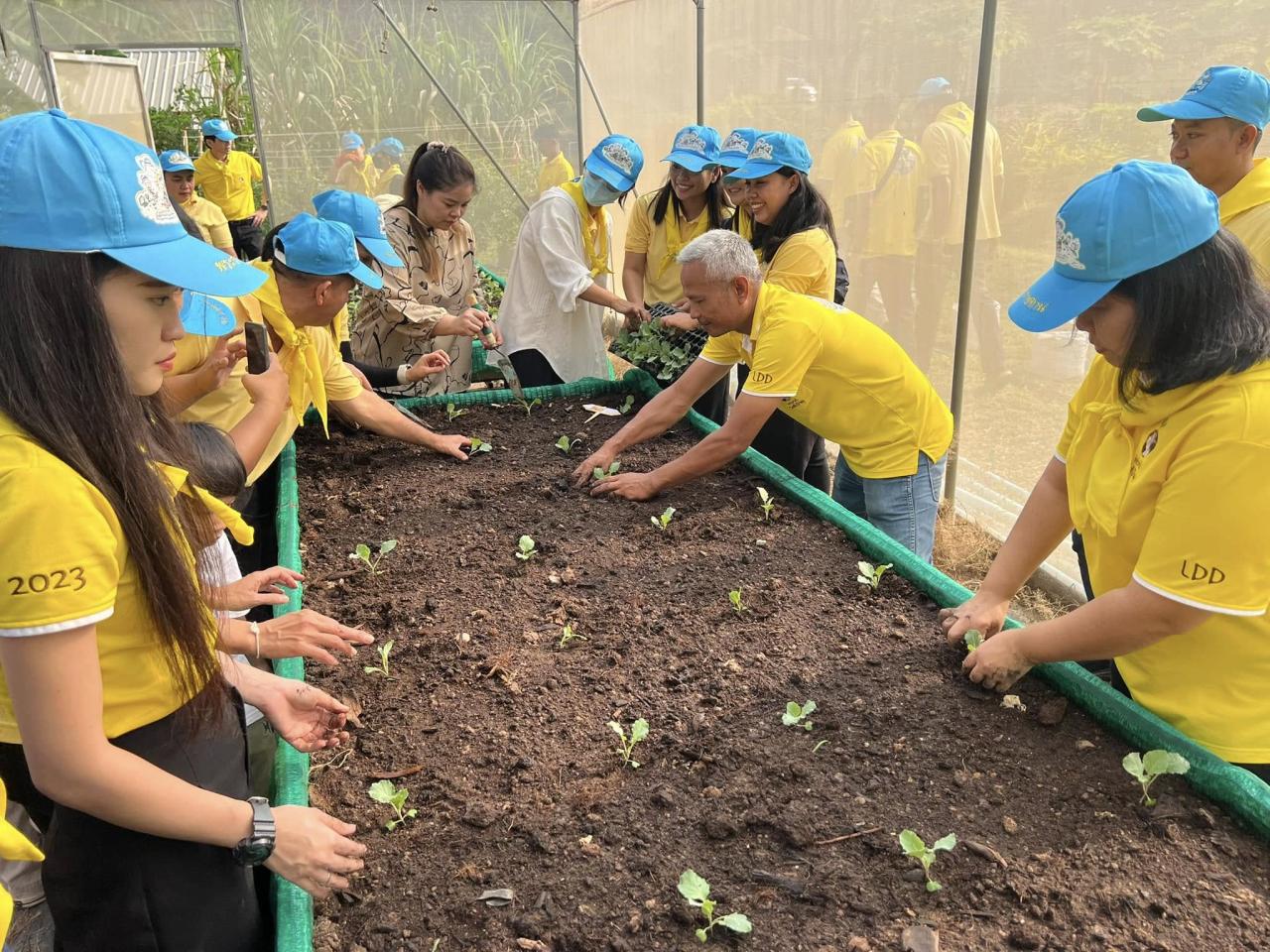 ภาพประกอบที่ 6