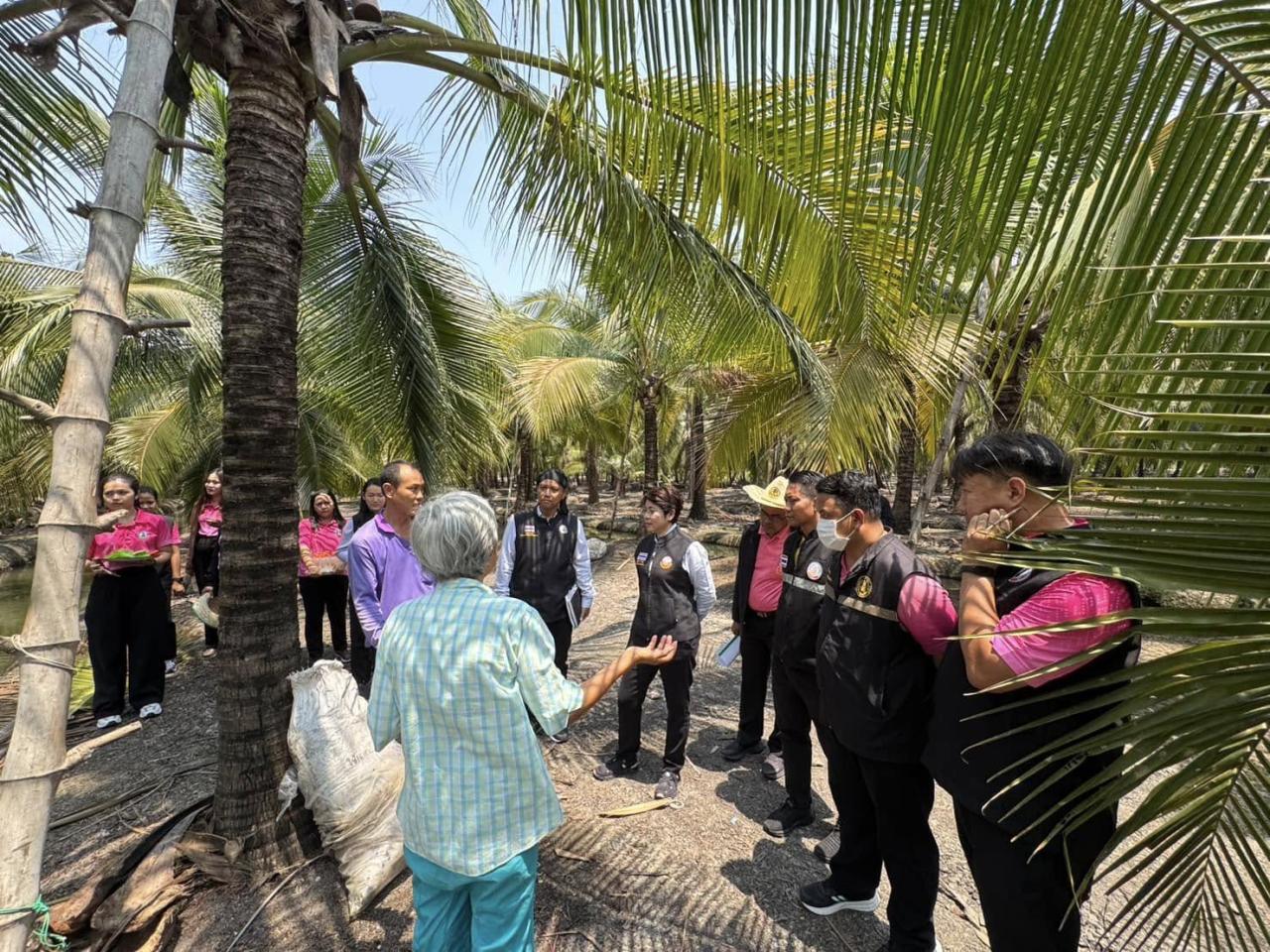 ภาพประกอบที่ 4