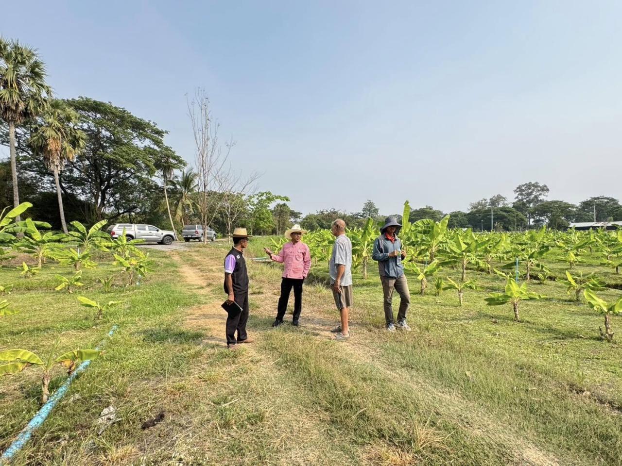 ภาพประกอบที่ 6