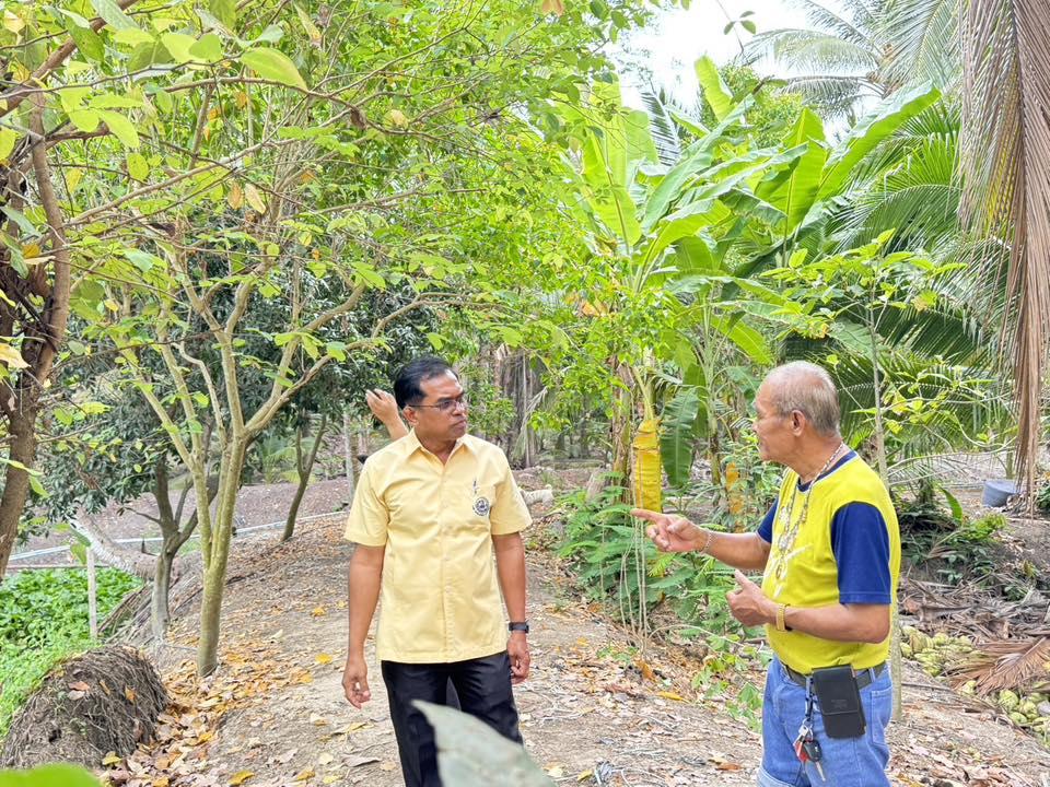 ภาพประกอบที่ 3