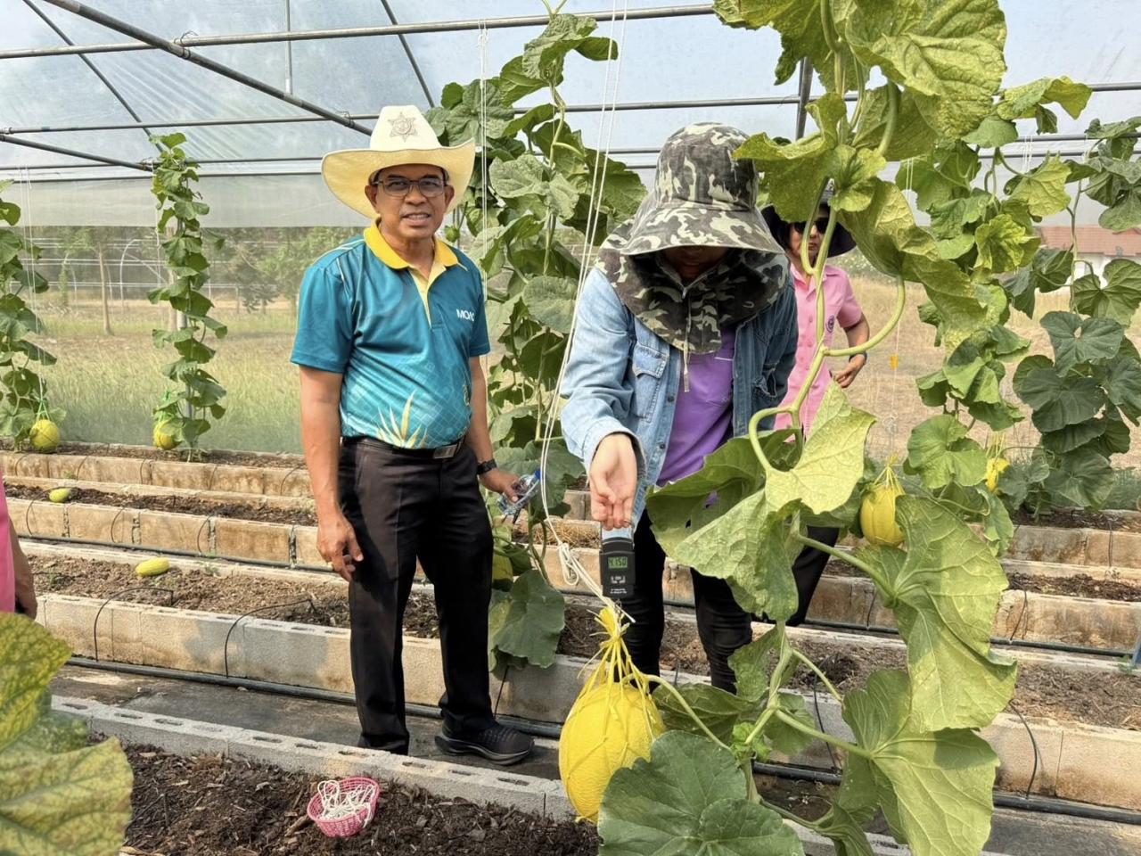 ภาพประกอบที่ 5