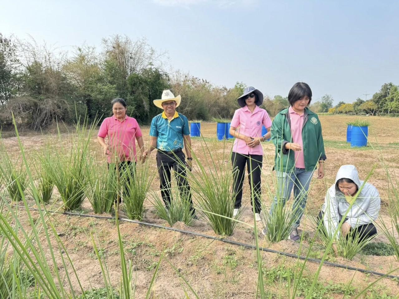 ภาพประกอบที่ 7