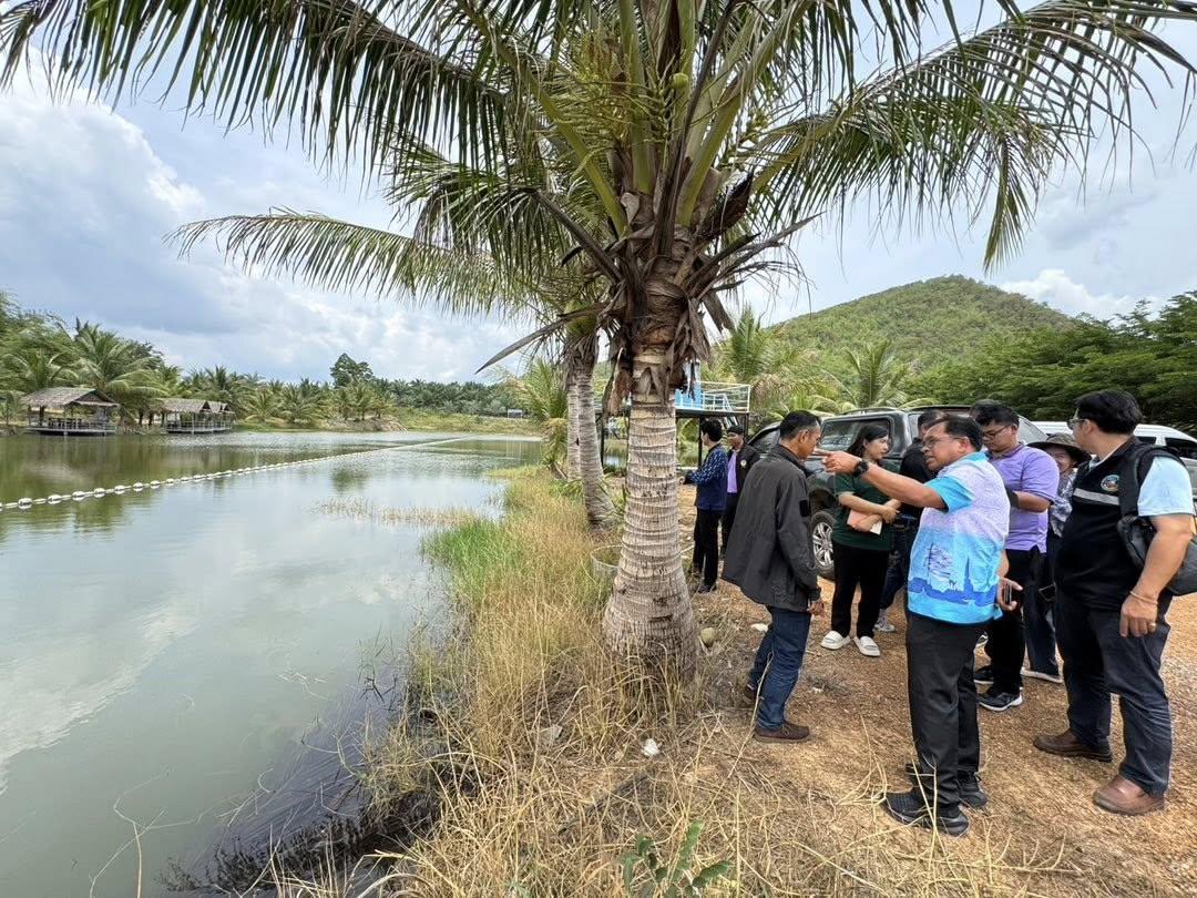 ภาพประกอบที่ 3