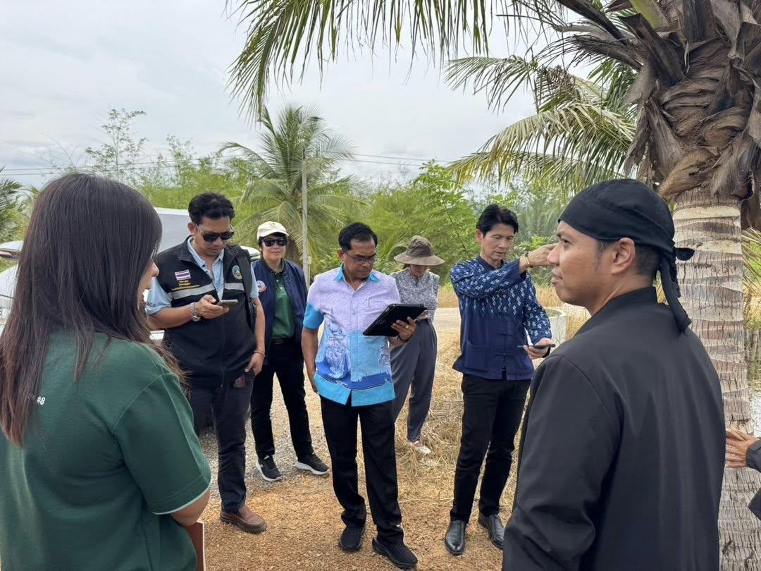 ภาพประกอบที่ 4