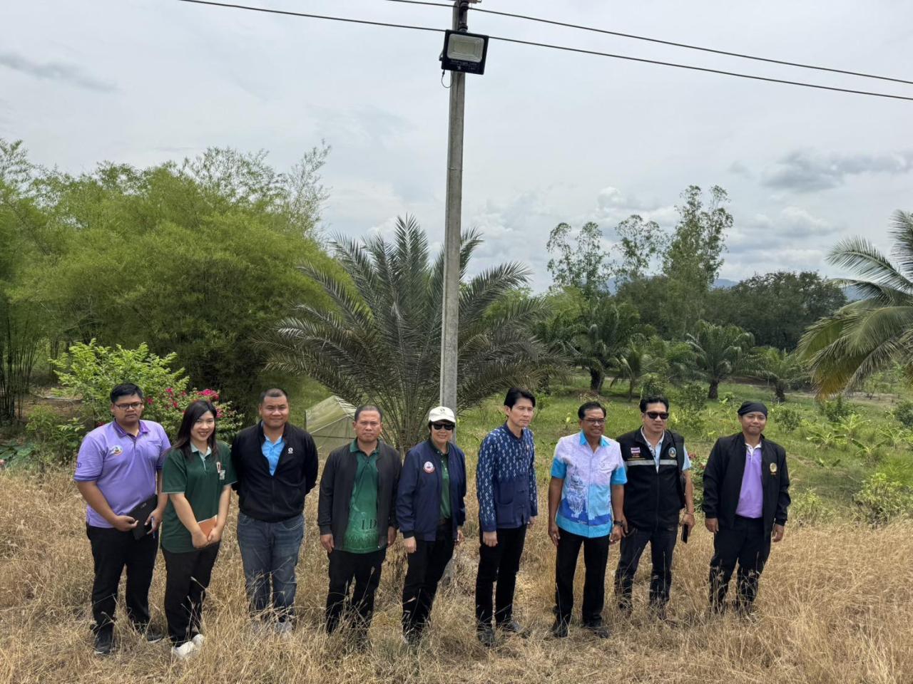 ภาพประกอบที่ 5