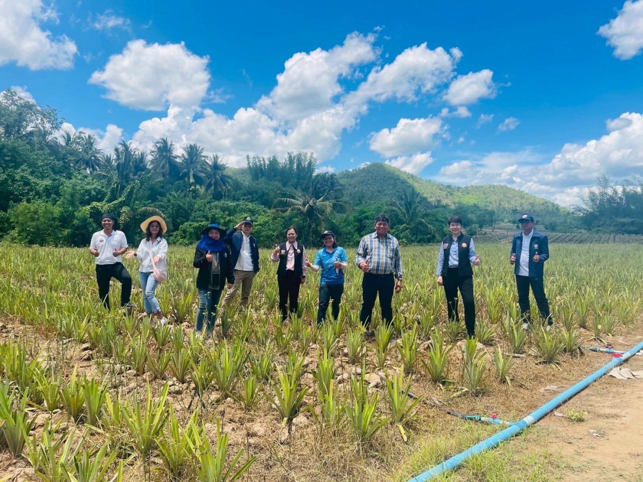 ภาพประกอบที่ 6