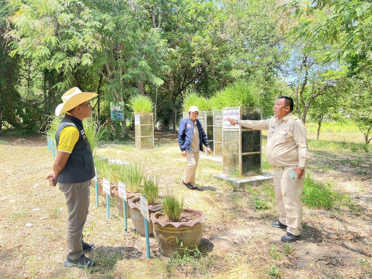 ภาพประกอบที่ 0