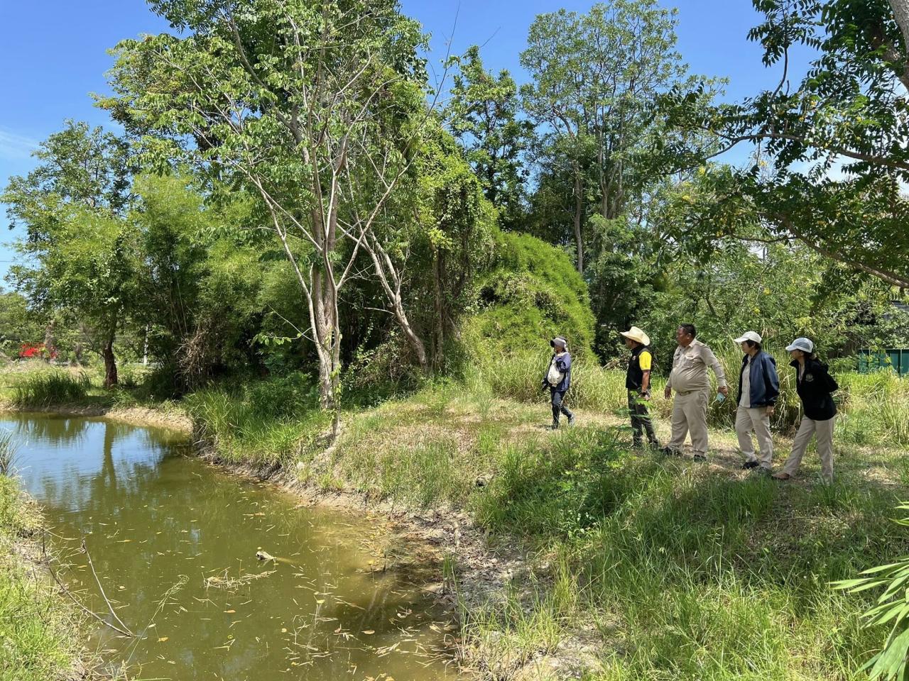 ภาพประกอบที่ 3