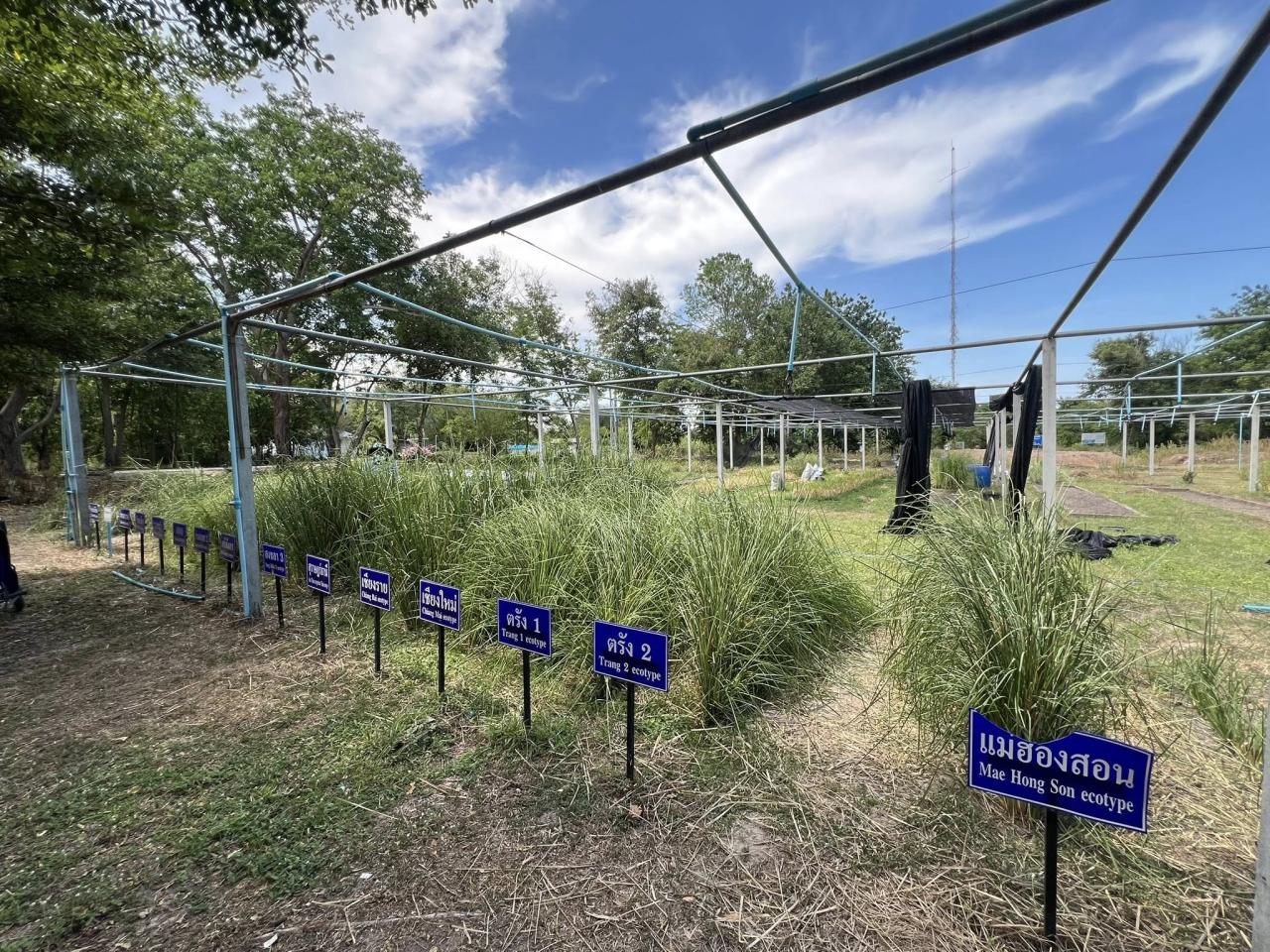 ภาพประกอบที่ 5