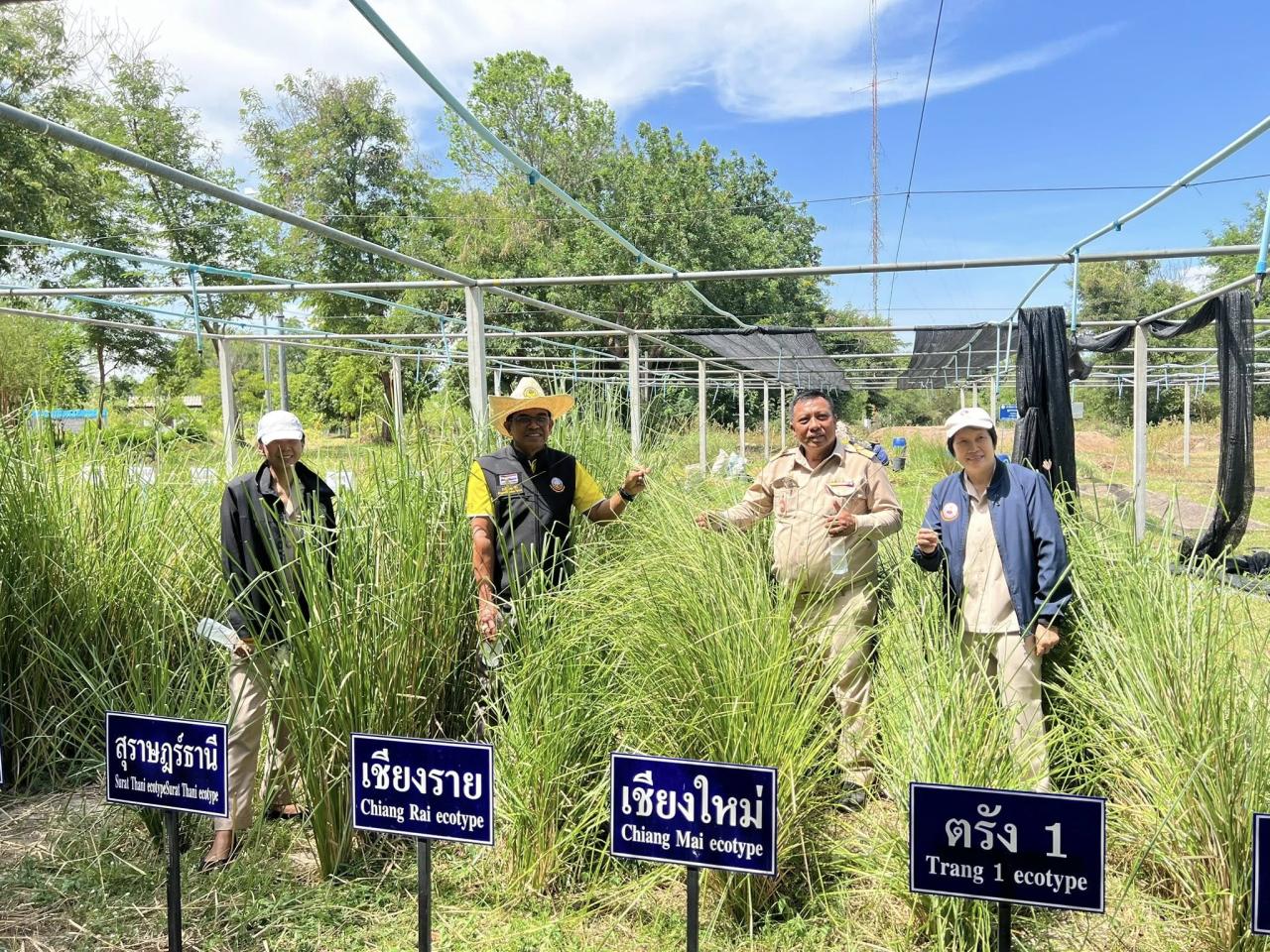 ภาพประกอบที่ 6