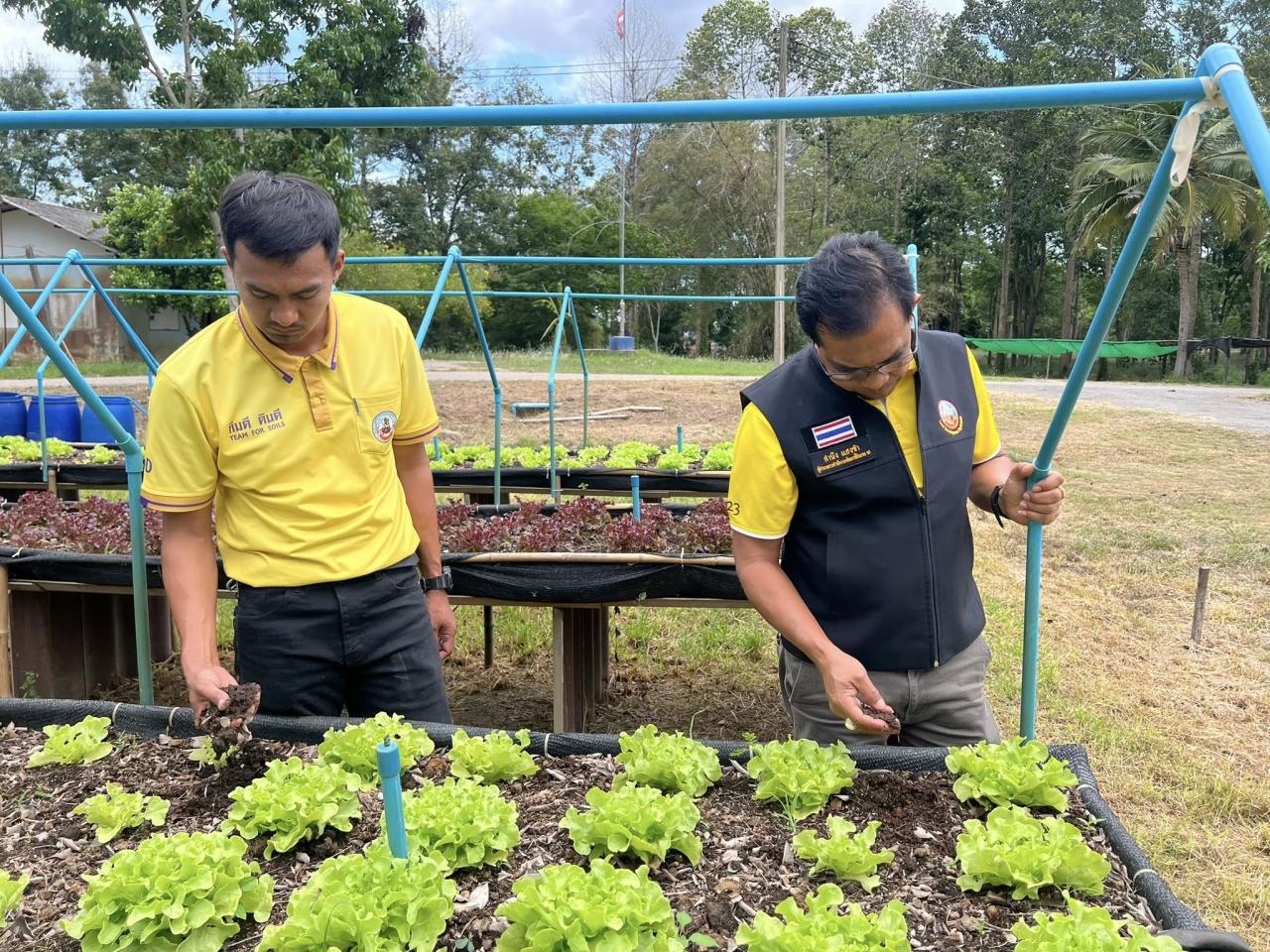 ภาพประกอบที่ 2