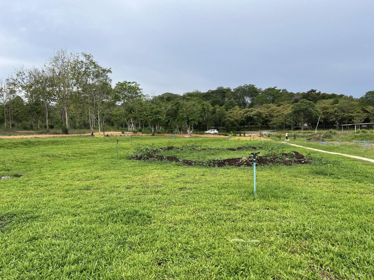 ภาพประกอบที่ 5