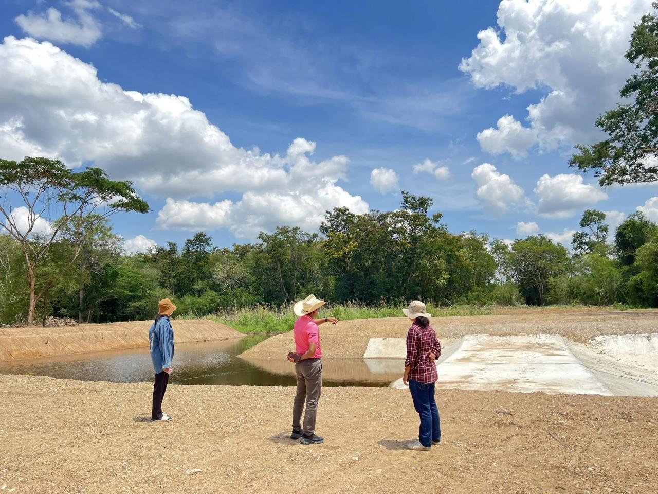 ภาพประกอบที่ 4