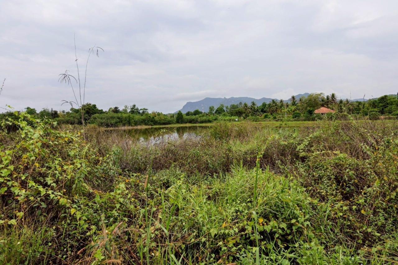 ภาพประกอบที่ 15