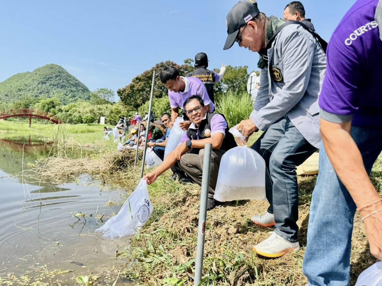 ภาพประกอบที่ 5