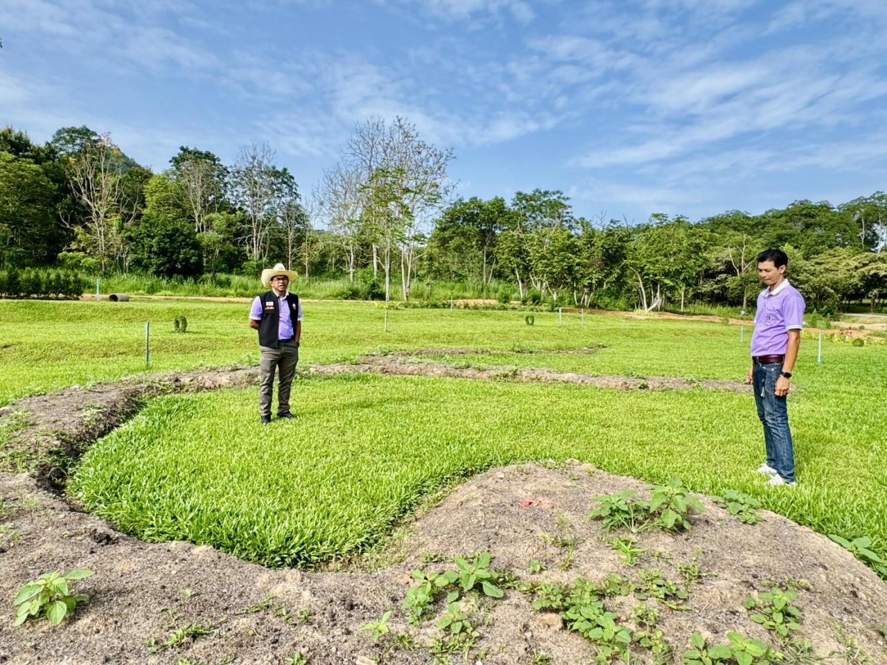 ภาพประกอบที่ 3