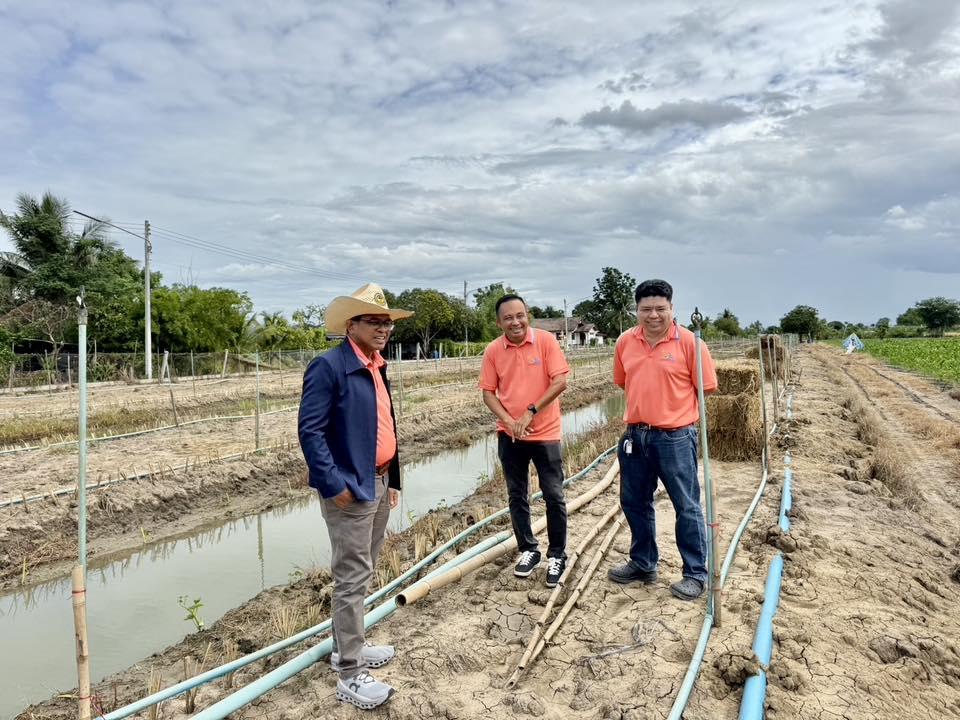 ภาพประกอบที่ 6