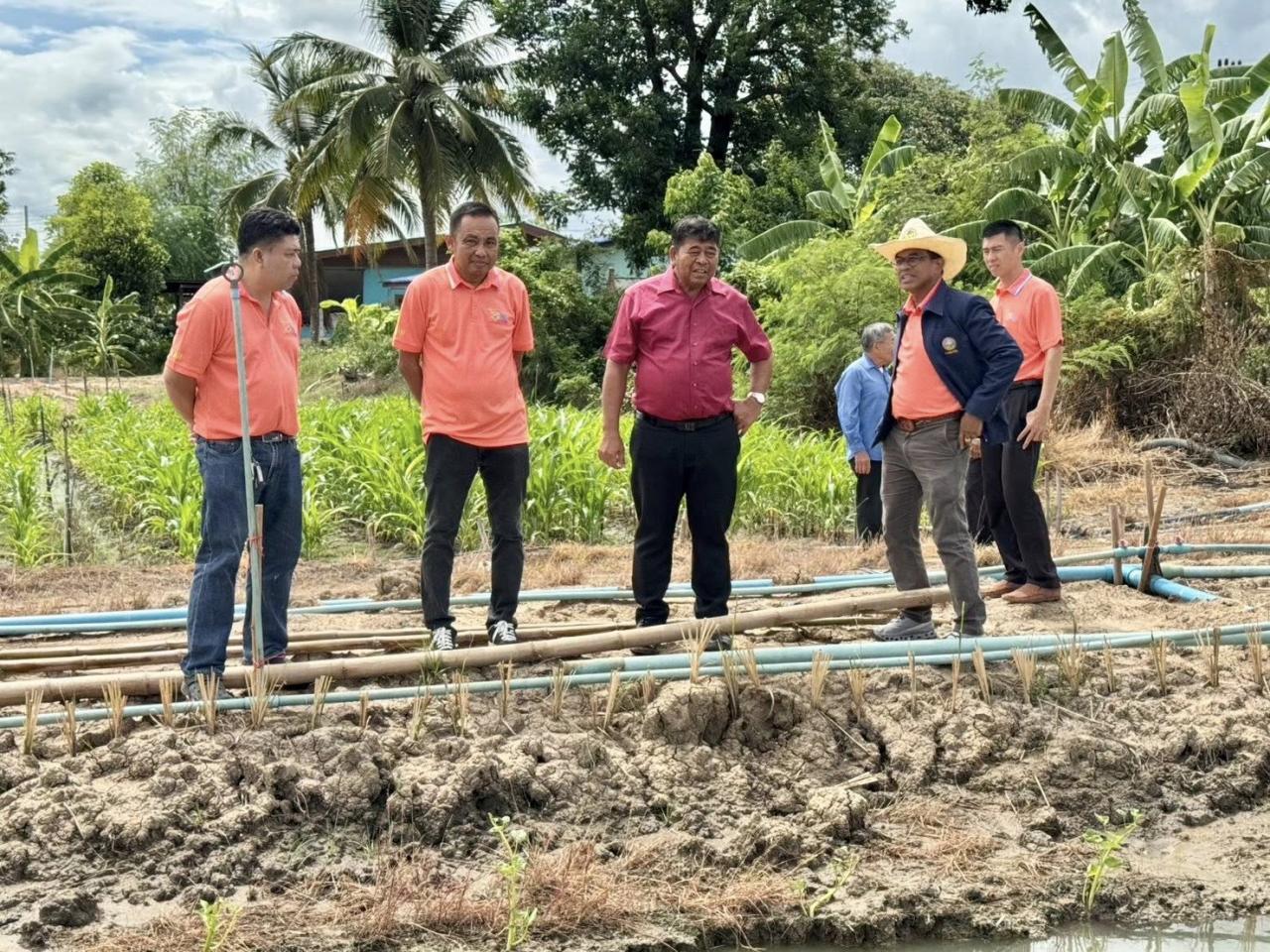 ภาพประกอบที่ 7