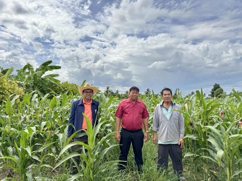 ภาพประกอบที่ 9