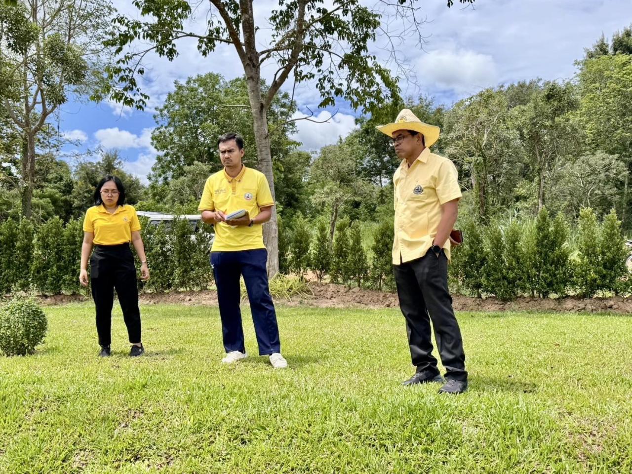 ภาพประกอบที่ 3